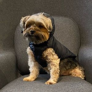 Meet your Posher, Brian